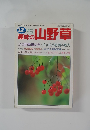 趣味の山野草　1996年12月号