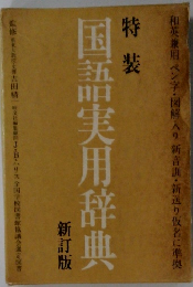 国語実用辞典