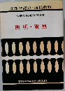 電機学校電気科講座  照明・電熱