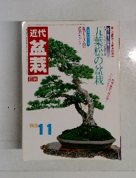 盆栽　1983年11月　