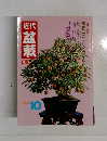 近代盆栽　’83/10
