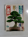 近代盆栽　’81/12