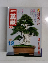 近代　盆栽　'83/12