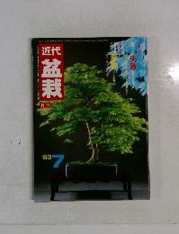 盆栽　1983年7月　