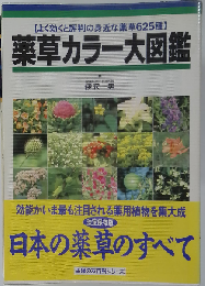 薬草カラー大図鑑