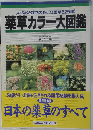 薬草カラー大図鑑