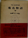 日本古典文学大系　栄花物語 下