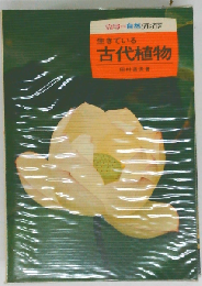 生きている古代植物