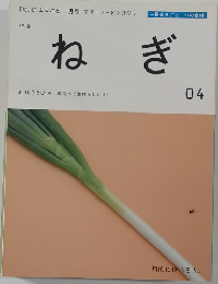 ねぎ　04
