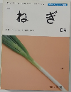 ねぎ　04