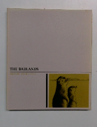 THE BADLANDS
