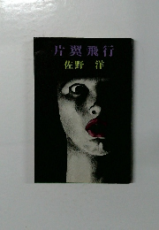 片翼飛行