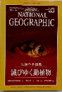 NATIONAL　GEOGRAPHIC　1999年2月号