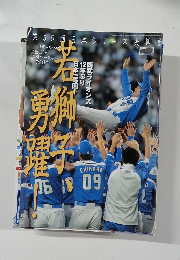 第55回日本シリーズ決算号　平成16年11月7日発行