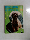 KINEJUNキネマ旬報　1976　6