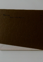 Museum  Space. Art. Nature