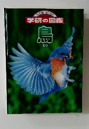 島　学研の図鑑