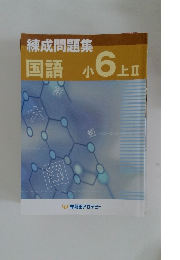 練成問題集  国語 小6 上Ⅱ