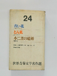 世界青春文学名作選　24