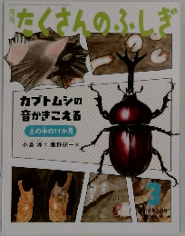 たくさんのふしぎ　２０１８年３月