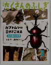 たくさんのふしぎ　２０１８年３月