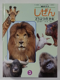 しぜん  どうぶつのかお
