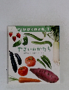 かがくのとも 2018年7月号 