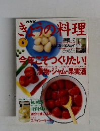 きょうの料理　1996年６月