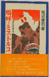 鳴呼・・・こス・トルコ