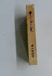オリーブの実