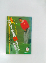 アプローチ全科 39ポイント