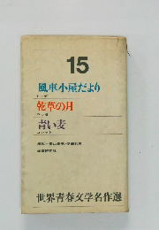 世界青春文学名作選15