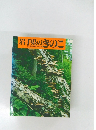 岩手県のきのこ