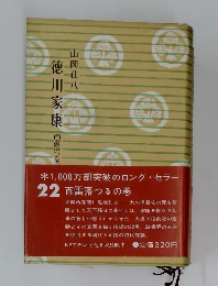 徳川家康 百雷落つるの