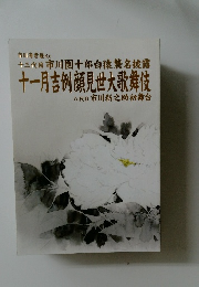 市川海老蔵 改め  十三代目市川團十郎白猿襲名披露  十一月吉例顔見世大歌舞伎  八代目 市川新之助初舞台