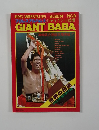 プロレスアルバム ジャイアント馬場　８