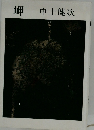 岬 