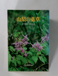 山梨の薬草