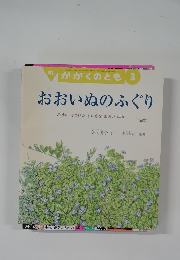 おおいぬのふぐり