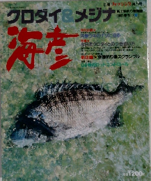 海彦 1991 