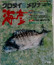 海彦 1991 