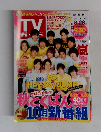 TV ガイド　2015年