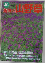 趣味の山野草　８月