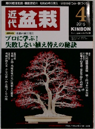 盆栽　２０１５年４月号