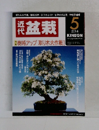 近代盆栽　2014年5月号