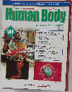 Human Body  141
