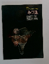 みづゑ　1975年6月号　No.843
