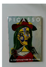 PICASSO　la métamorphose de la forme