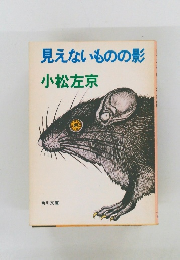 見えないものの影