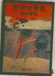 奇妙な青春